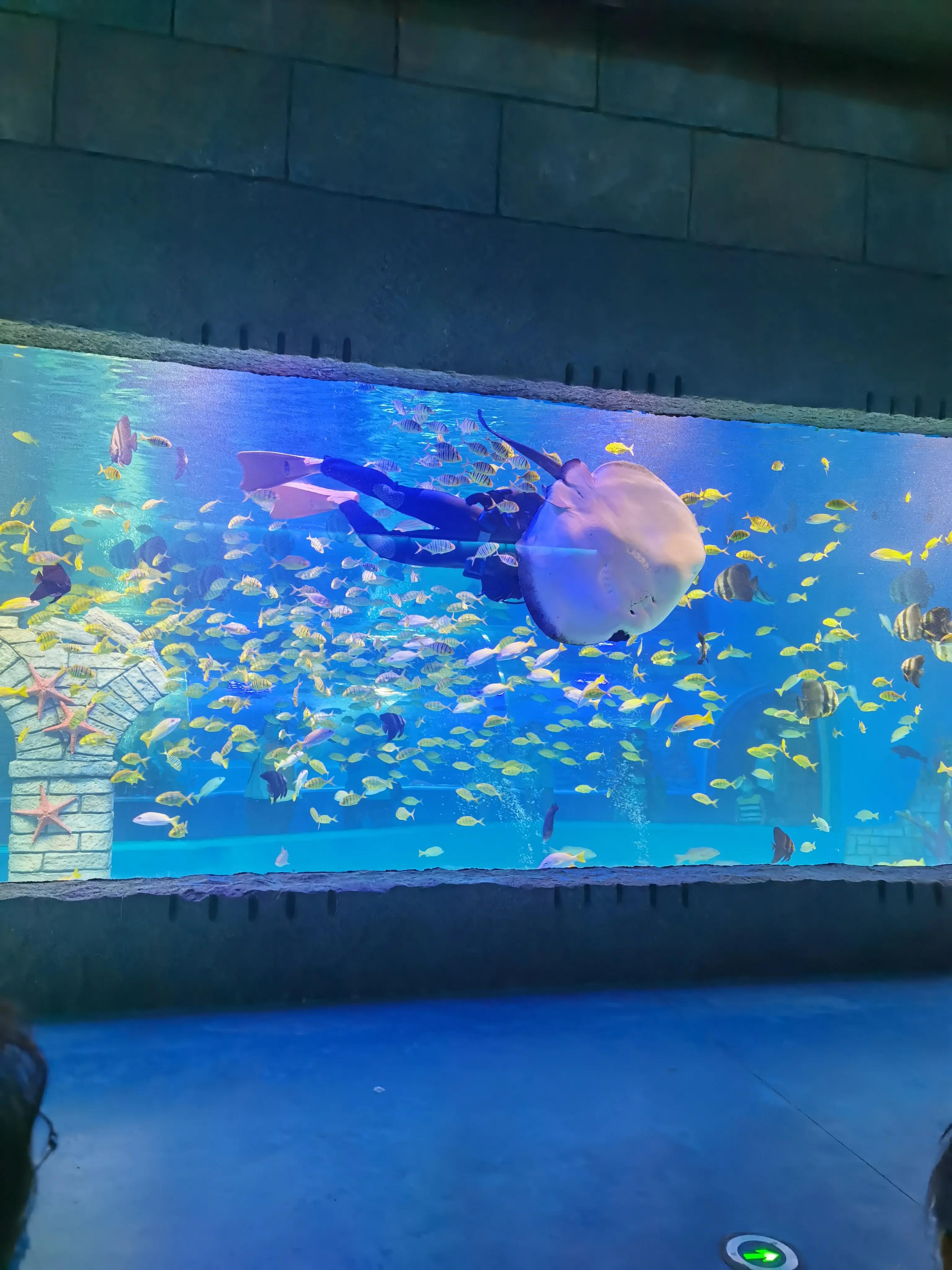 天津海洋馆新开的儿童乐园,天津适合孩子玩的水上乐园