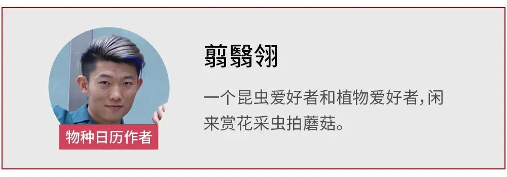 同学们好，今天我们学习的课文是《爬山虎的脚》