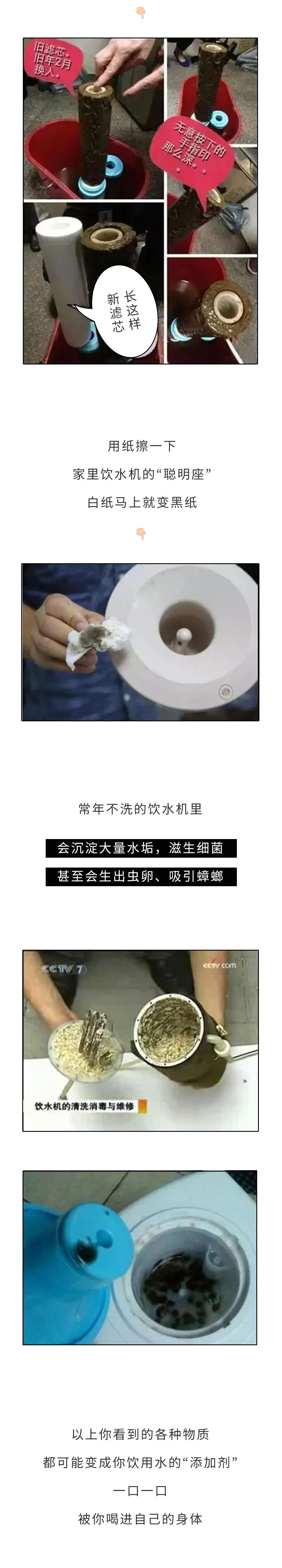 热水器水流出有虫子怎么办,饮水机水管里有小白虫