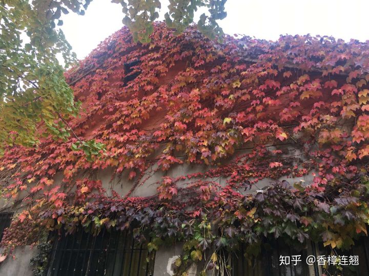 在大连的感受和生活,在大连生活怎么样