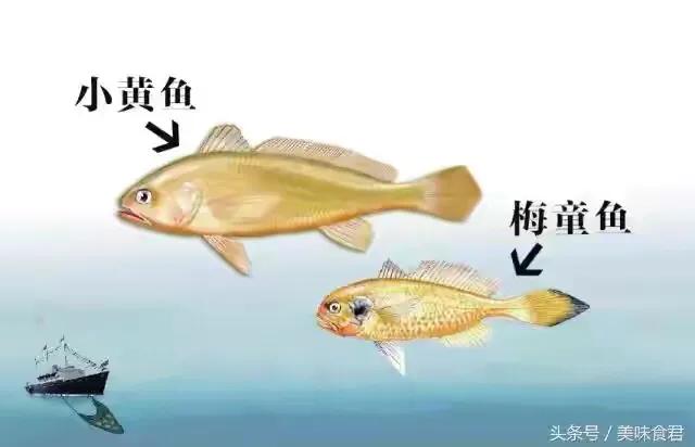 鲜之绝腌梭子蟹,鲜之绝卤鲳鱼