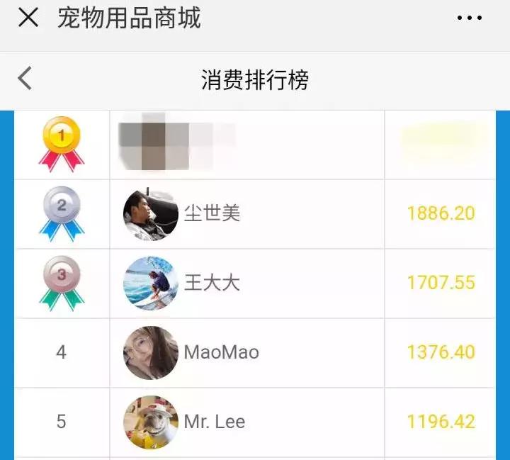 宿舍把小香猪养到300斤,大学生养小香猪