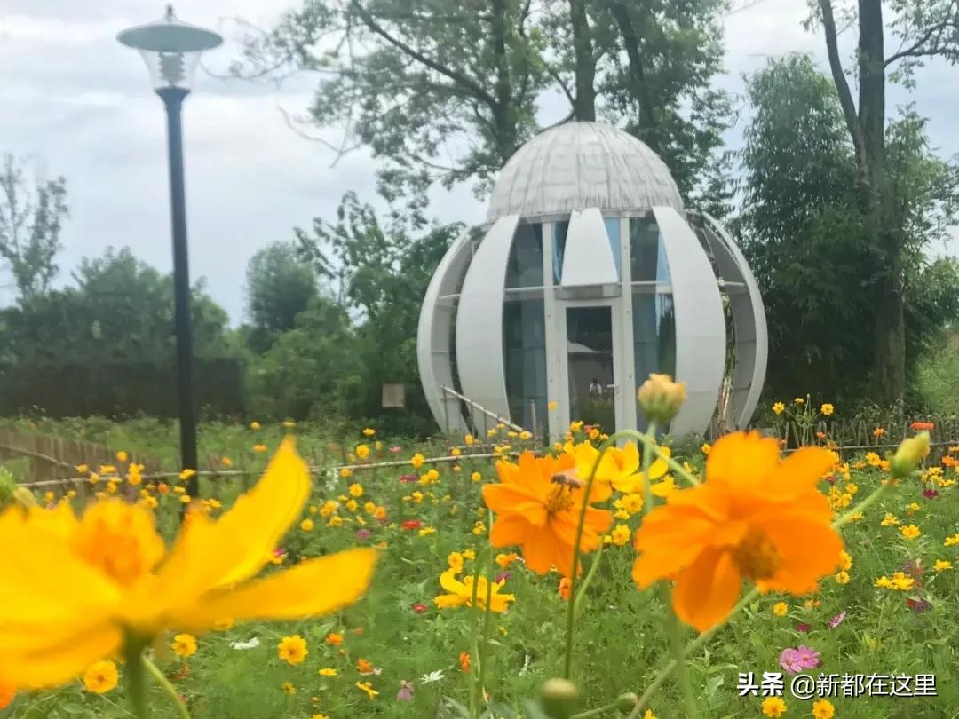 周末新都耍了一圈，朋友都以为我出了趟国