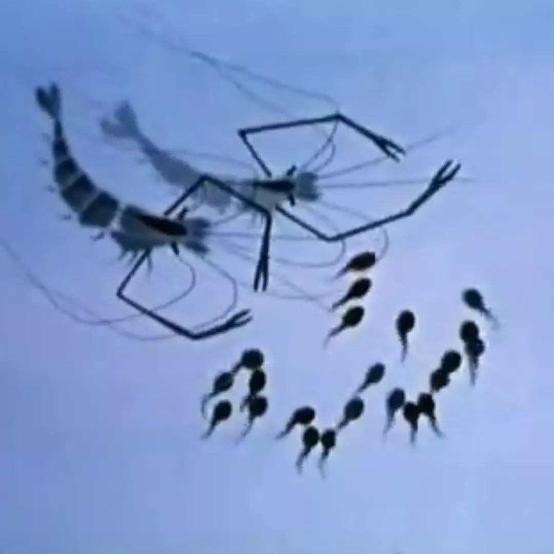 上海美术电影制片厂有哪些电影,上海美术电影制片厂近年作品