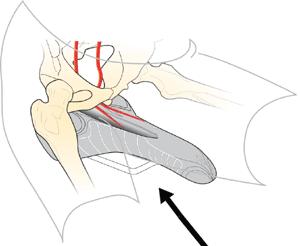 怎样提高自行车骑行技巧,如何提高骑车的平衡感