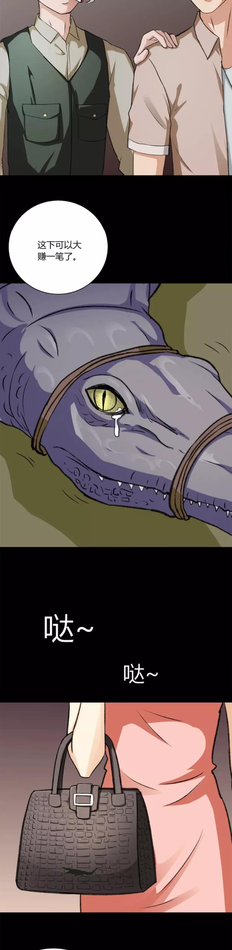 漫画鳄鱼头,漫画鳄鱼动物