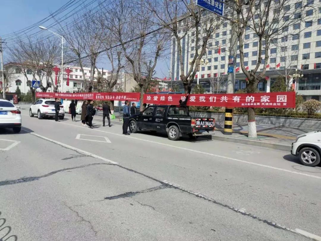 县林业局植树节活动,市林业局植树节工作方案