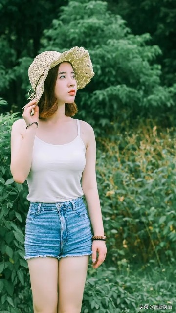 核心知识点总结大全,核心语法的讲解