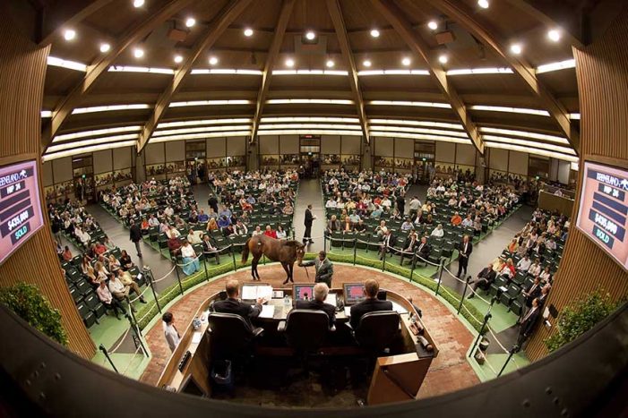 沙海行舟，现实中的霸道总裁，迪拜首富超乎常人想象的生活