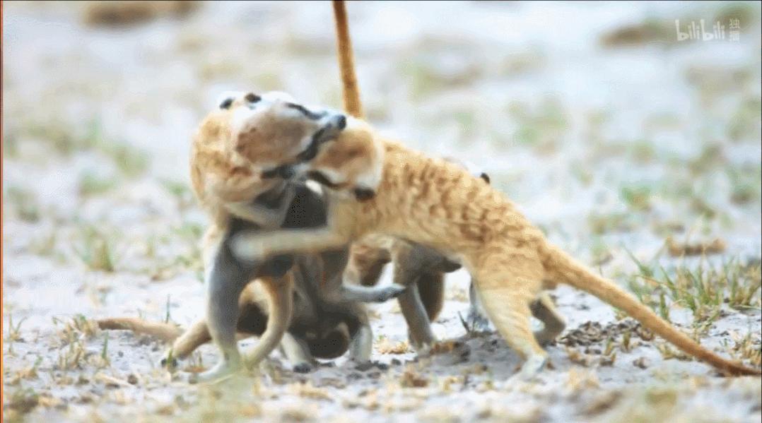 豆瓣评分9.5以上的国产电影有哪些,十部顶级神片推荐