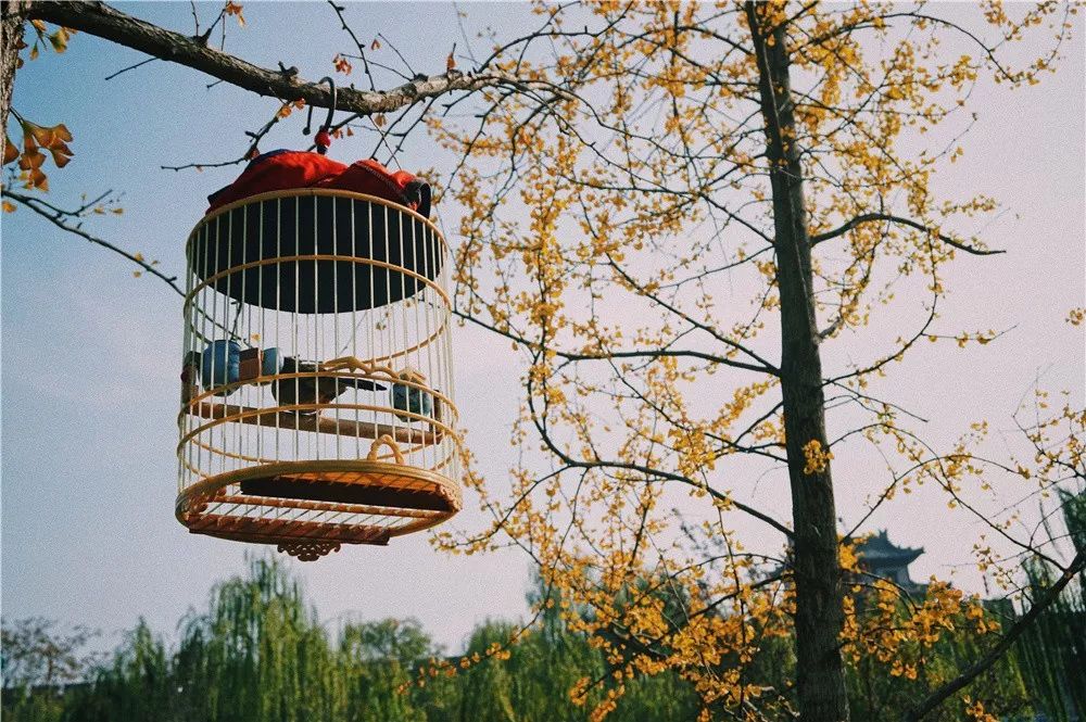 西安八月约会最佳地点,西安周末情侣最适合约会的地方