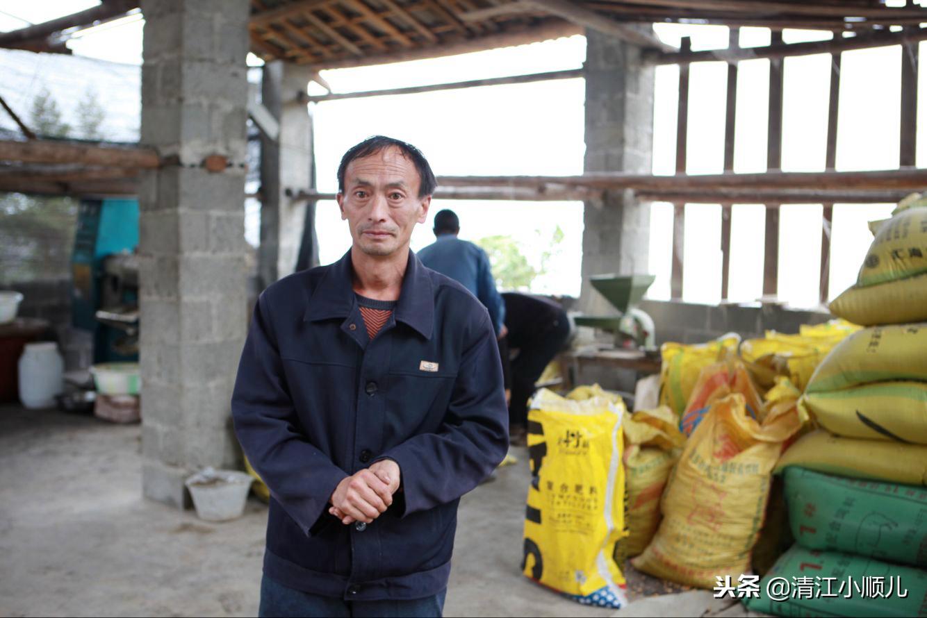 农村大哥爱的奉献,返乡小伙承包土地大面积种植油菜