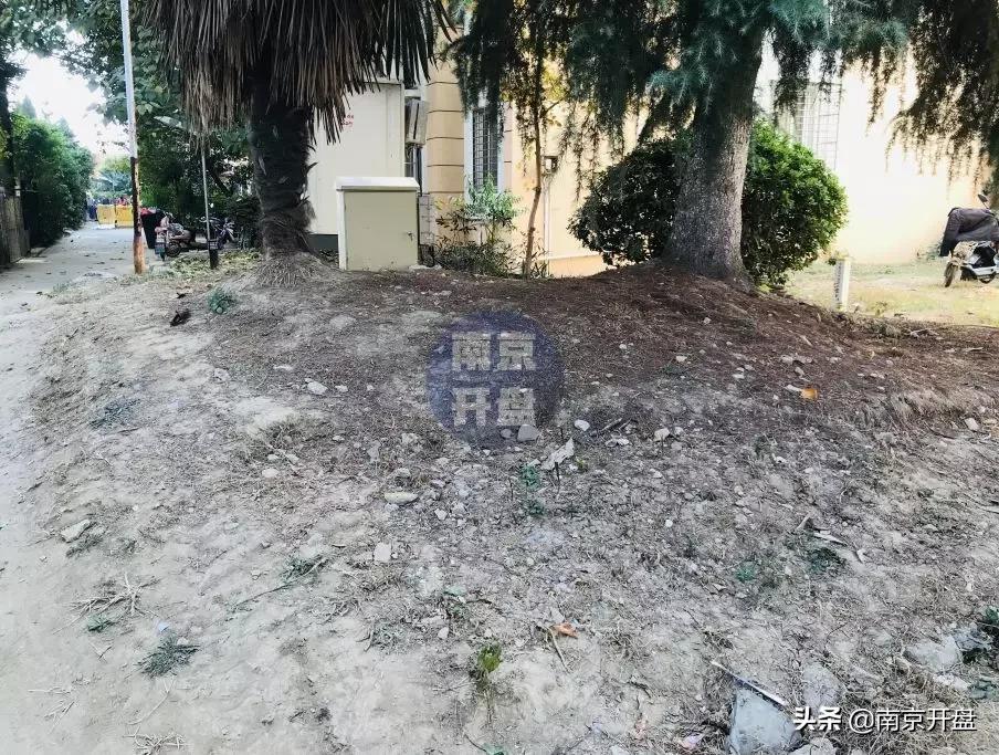 假山里住人！物业不作为，南京超级大盘终于要换物业了