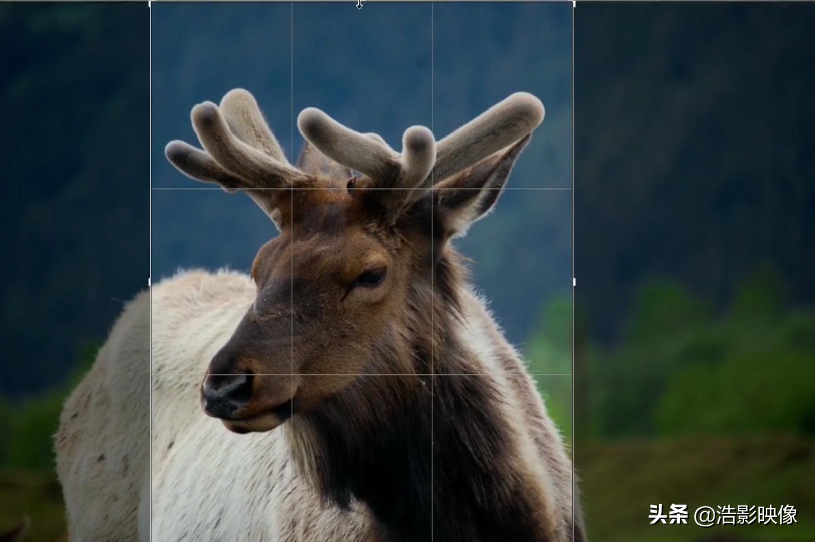 10倍光学变焦和数字变焦的区别,光学变焦和数字变焦区别视频