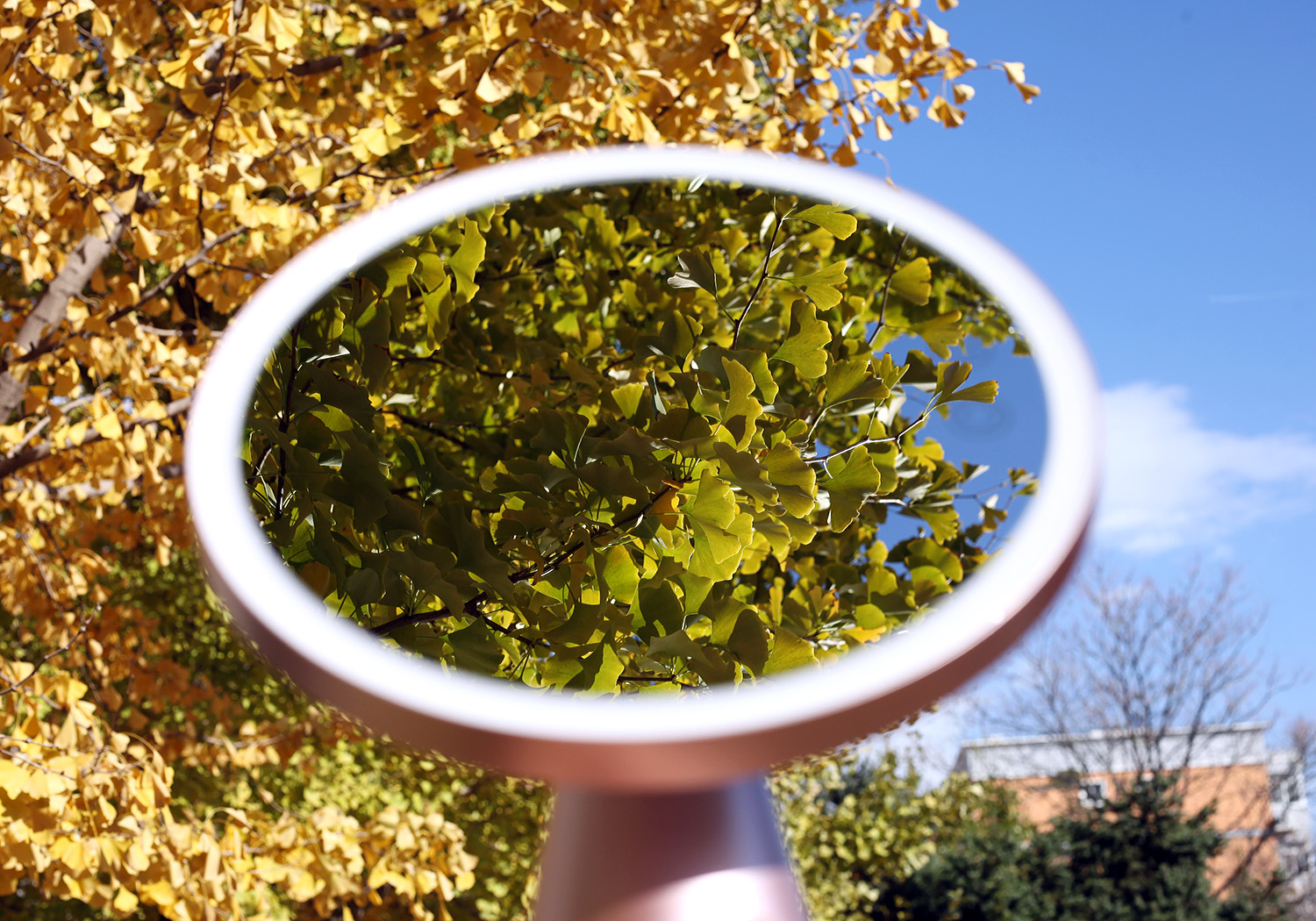 斐色耐化妆镜小蛮腰测评,化妆镜推荐斐色耐