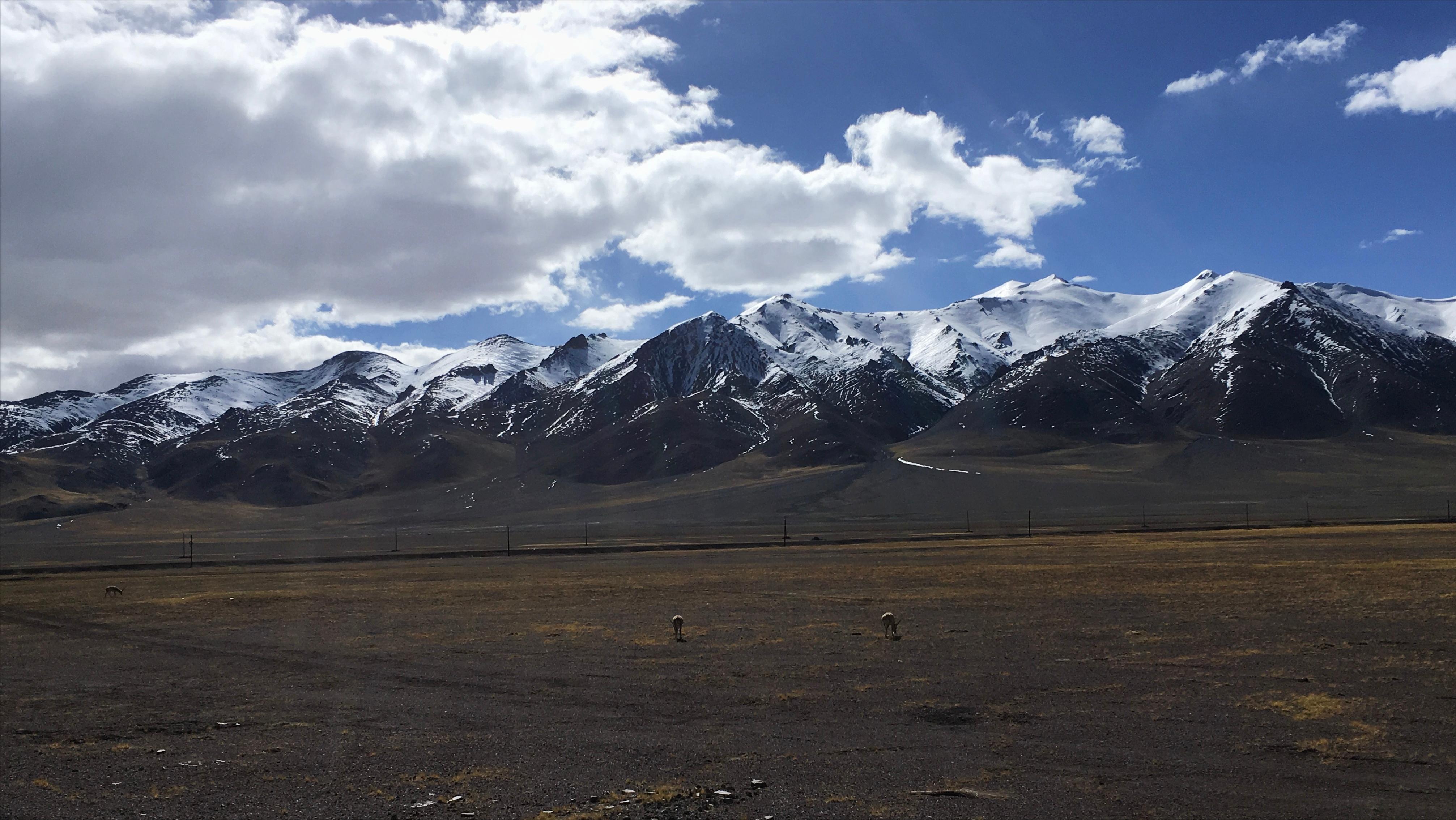 游川藏边防证怎么办理,去西藏自驾游边防证在哪办理