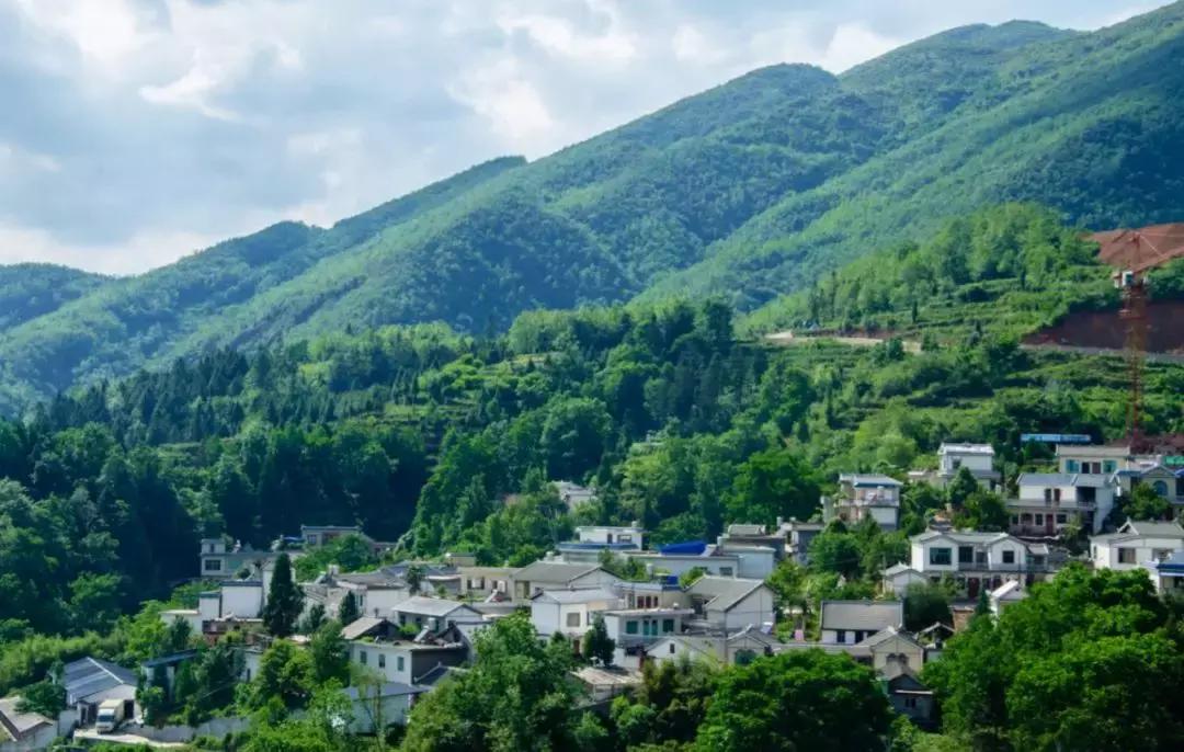 人民小酒董事长余留芬,余留芬人民小酒来源