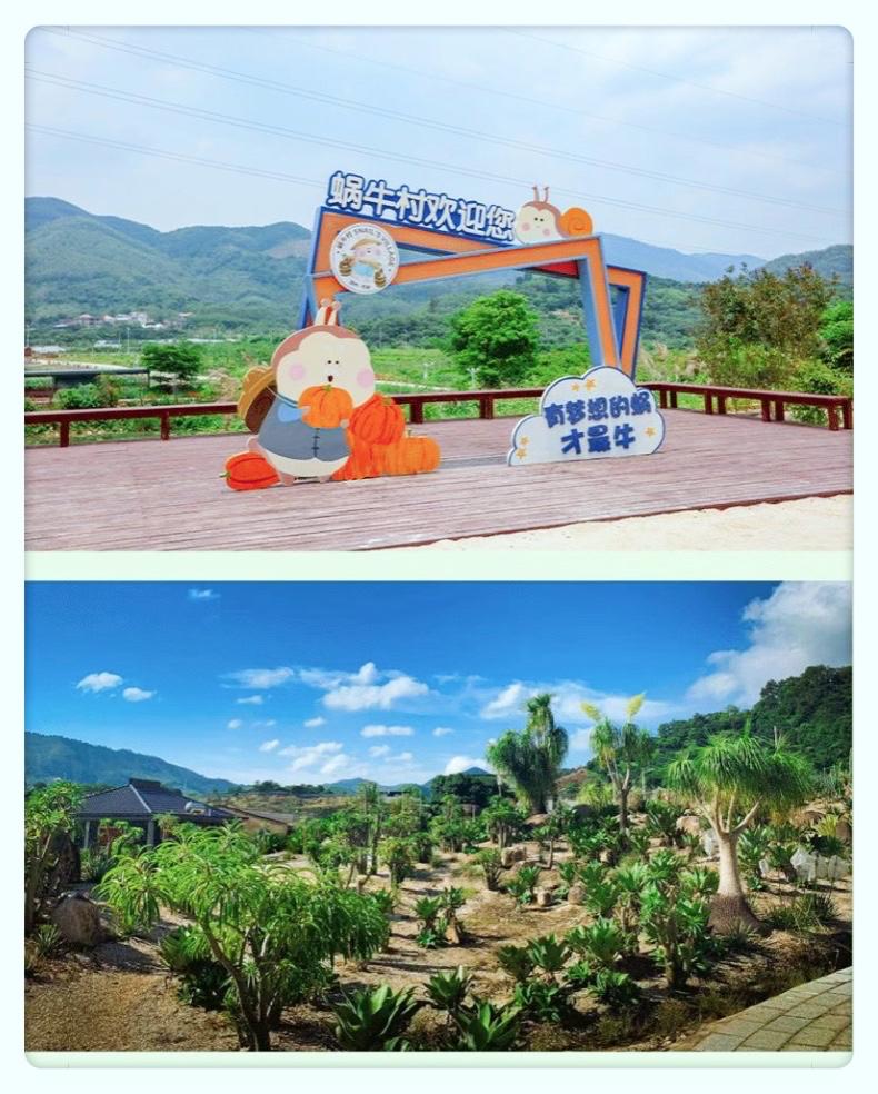 蜗牛里的春天视频素材,蜗牛的春天免费观看