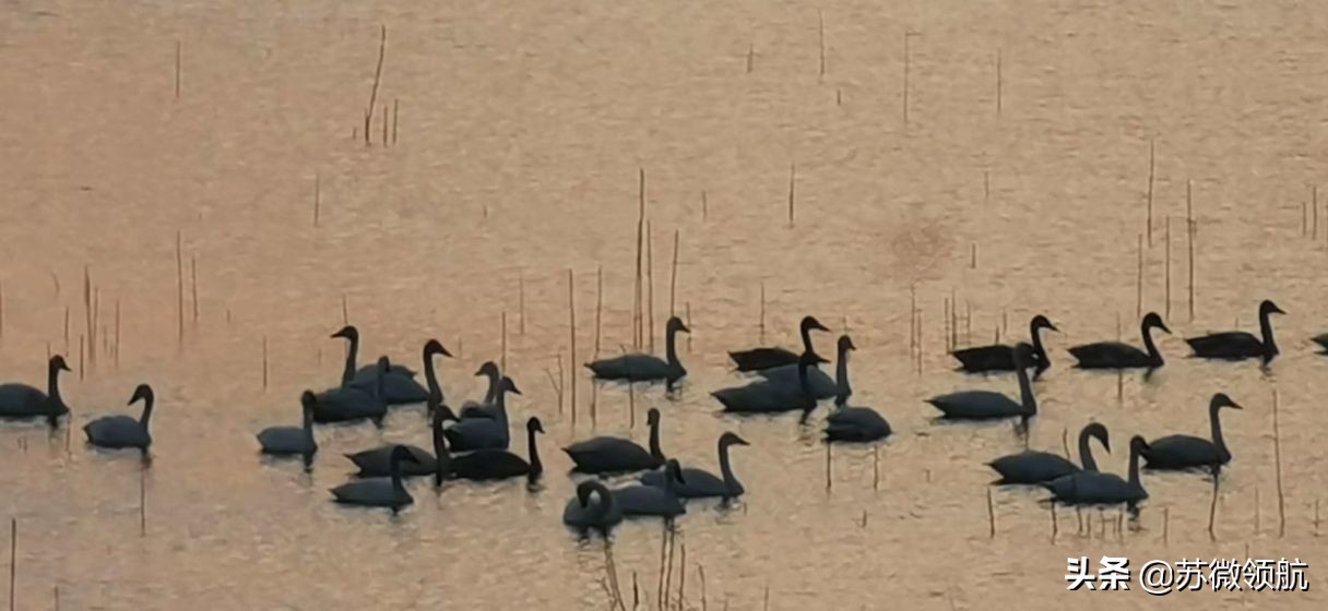 我终于失去了你小说,我终于失去了你歌曲