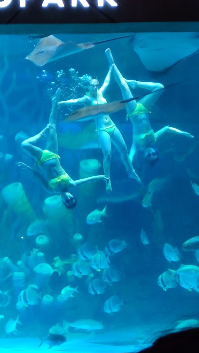 福州欧乐堡海洋世界家庭套票团购,福州欧乐堡海洋世界门票价格