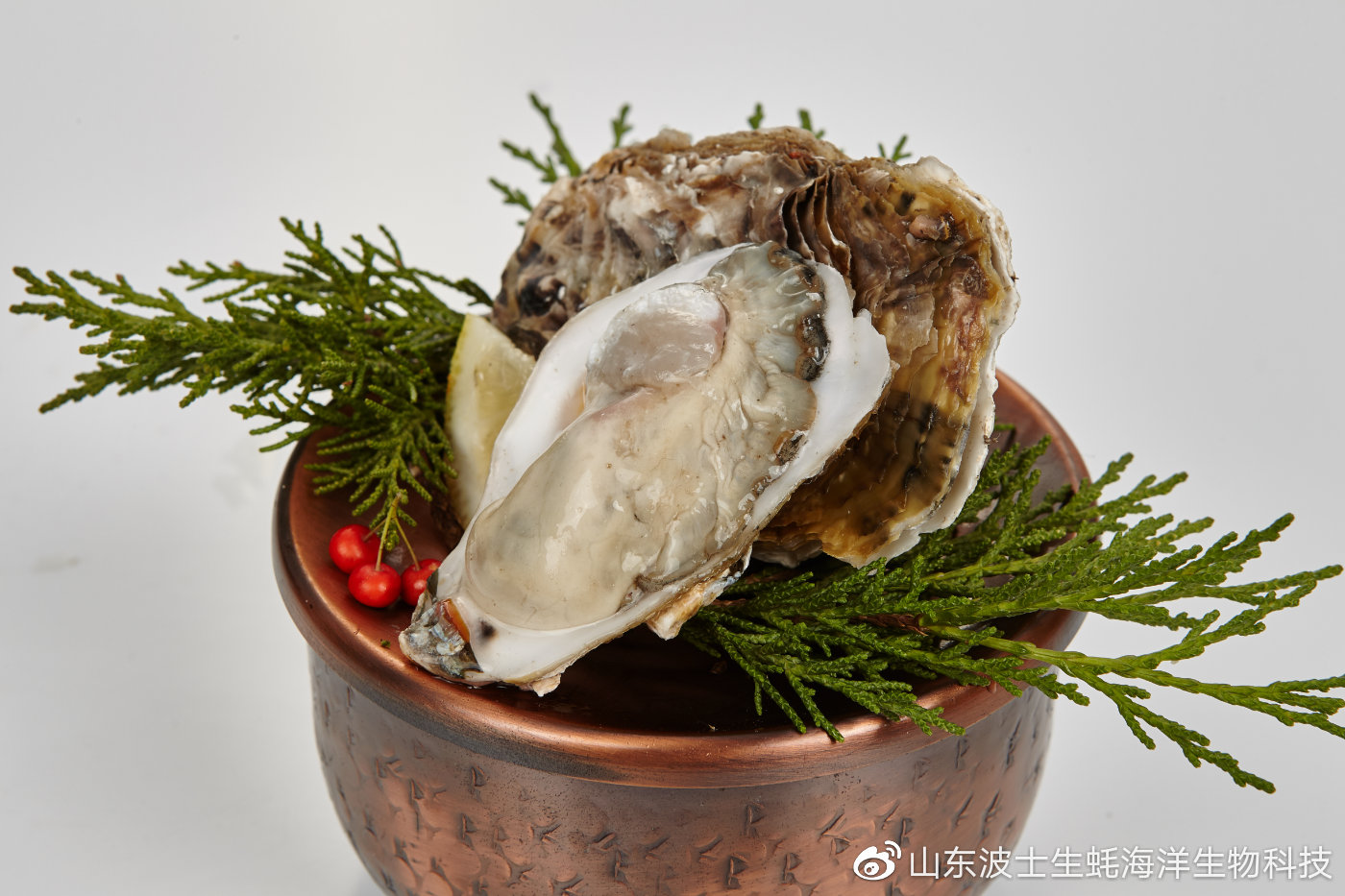 生吃生蚝怎么预防寄生虫,生蚝里的寄生虫吃什么药