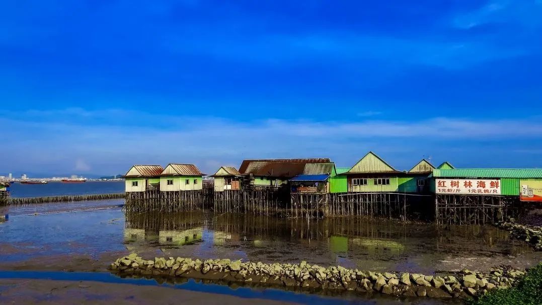 周末广州市内哪个公园最值得去,广州十大避暑旅游景点