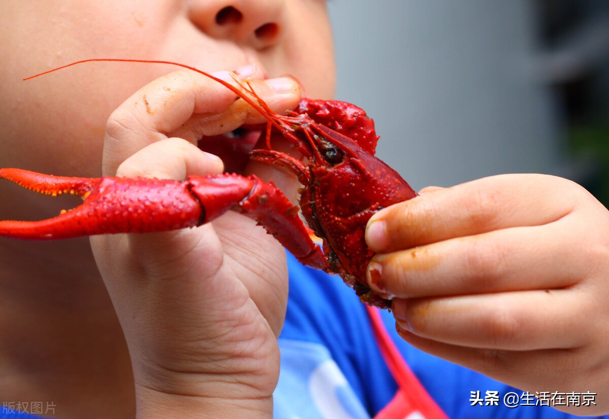 南京小龙虾排行榜第一名99元一只,南京河西小龙虾哪家最好吃