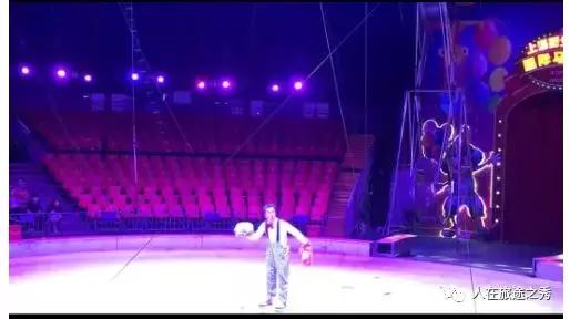 上海野生动物园国际马戏,上海野生动物园的马戏剧场演多久