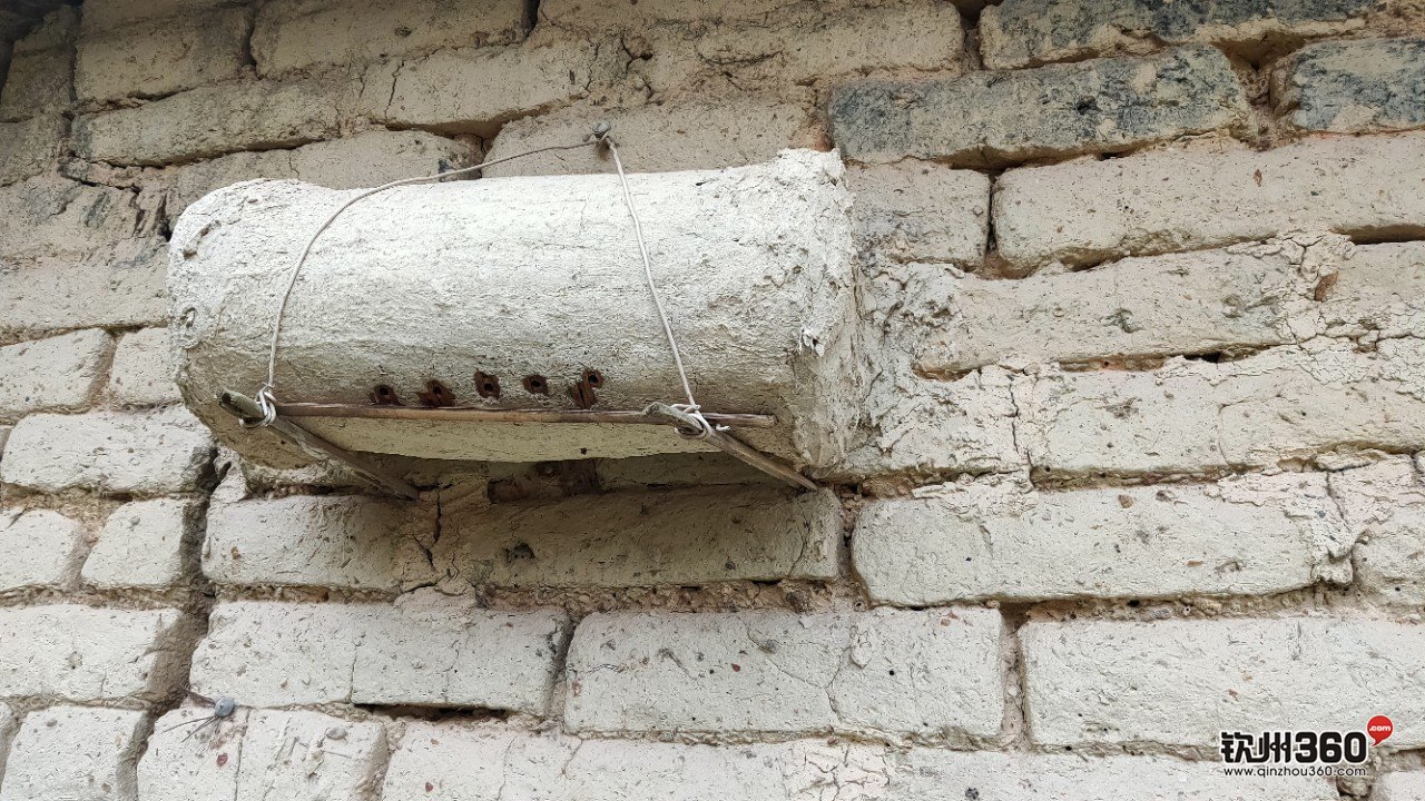 野生蜂蜜取出来的方法,神奇的东西都有什么