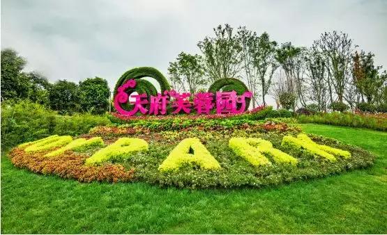 公园项目的正确玩法,公园玩法攻略