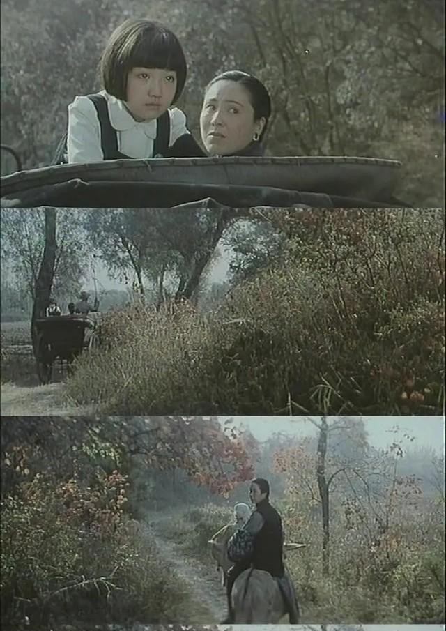 蹇冪伒涔嬬獥璞嗙摚,蹇冪伒涔嬬獥璞嗙摚鐢靛奖