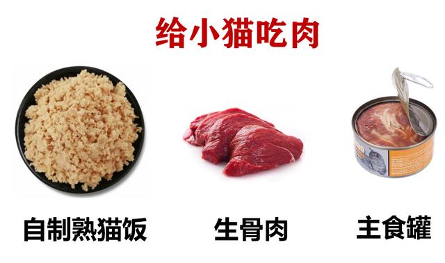 一个月的小猫可以吃羊奶泡奶糕吗,两个月小奶猫吃什么零食