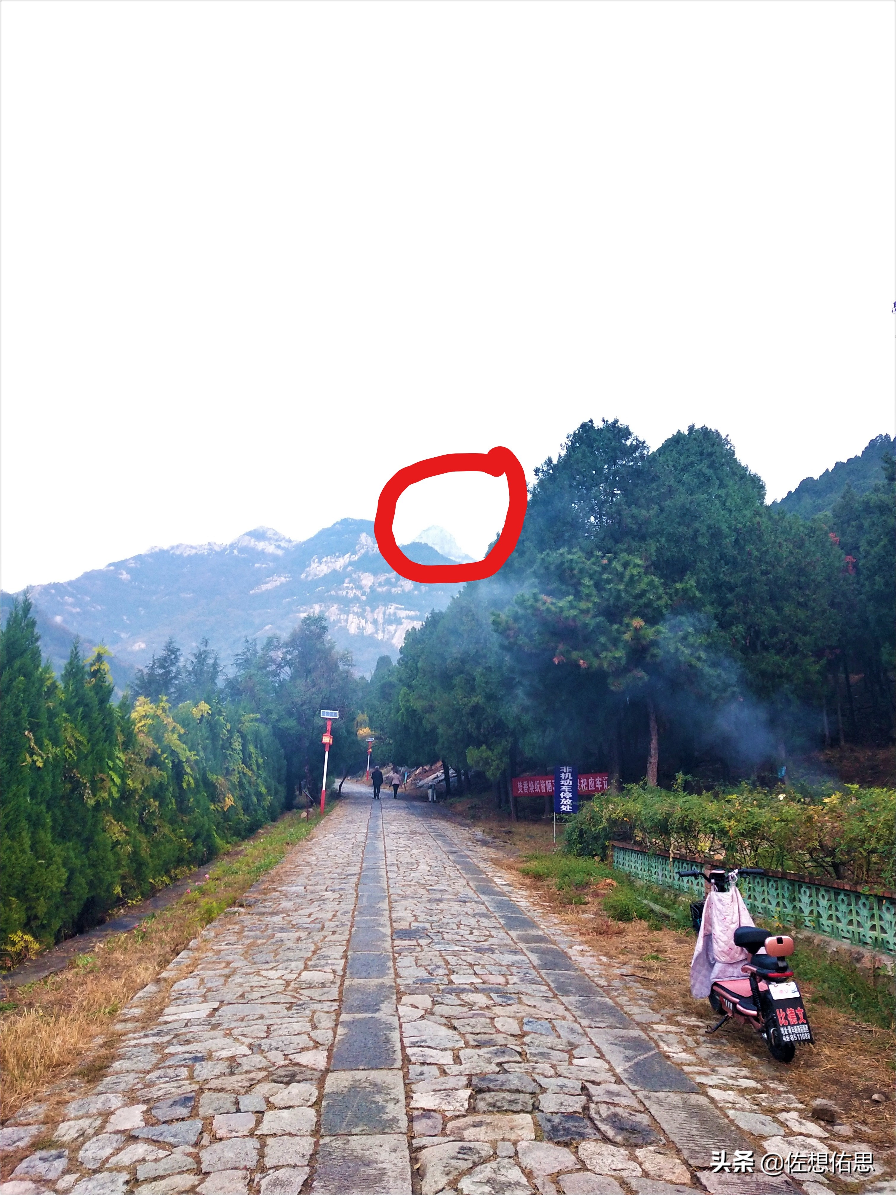 扇子崖优惠,泰安扇子崖免门票吗