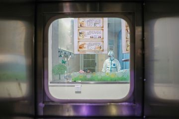 丙肝药吉利德是靶向药吗,吉利德瑞德西韦成功了吗