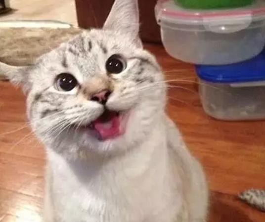 金融人眼中的自己,一个懂金融和不懂金融的人的区别