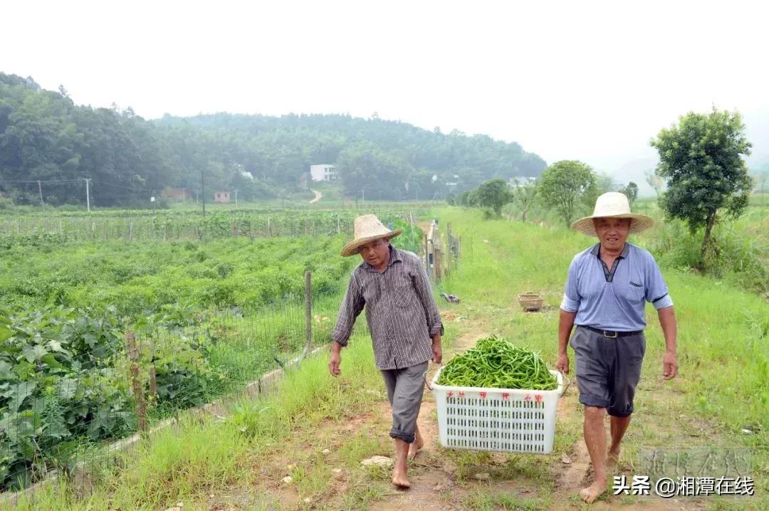 鎺ㄨ繘浜т笟鎵惰传,浜т笟鎵惰传閾哄氨鑷村瘜涔嬭矾