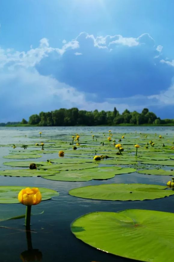 古诗词里纳凉,诗词夏季乘凉