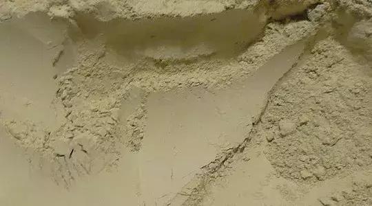 黑心猫粮骗局揭秘图解,揭秘猫粮骗局视频大全