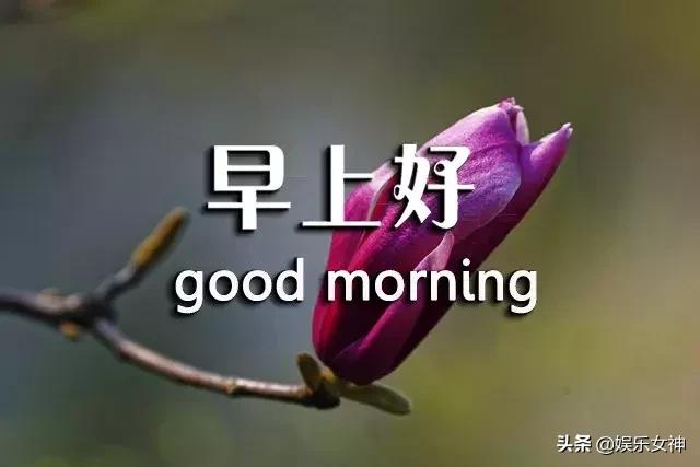 周三问候语简单幽默,早上短信问候语温馨正能量