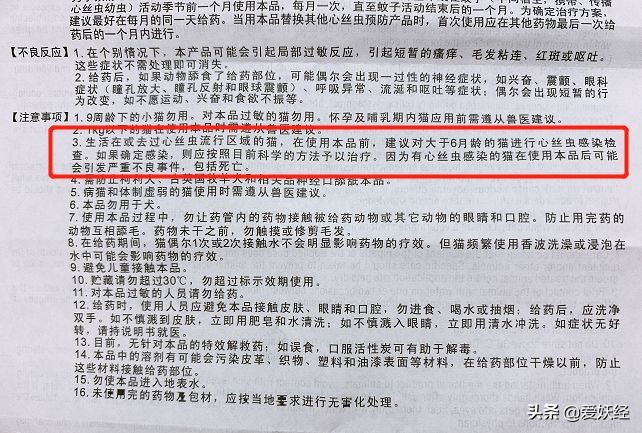 别说老狐狸不宠粉，你们要的猫用驱虫药测评！来喽