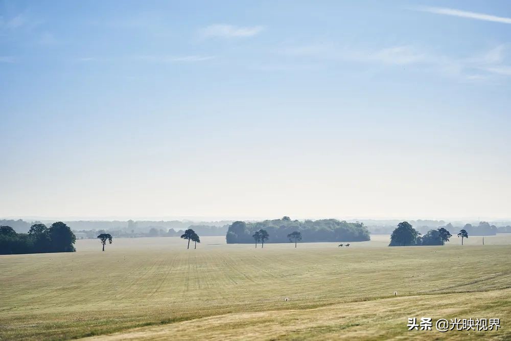 2022年度的ipa摄影大赛获奖作品,2020ippa摄影大赛奖项公布