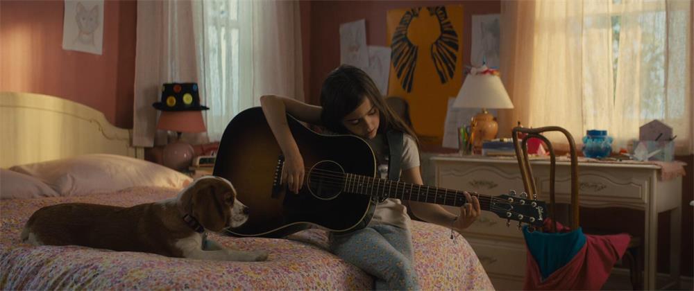 一条狗的使命2贝利最后去哪,一条狗的使命2伊森再次认出贝利