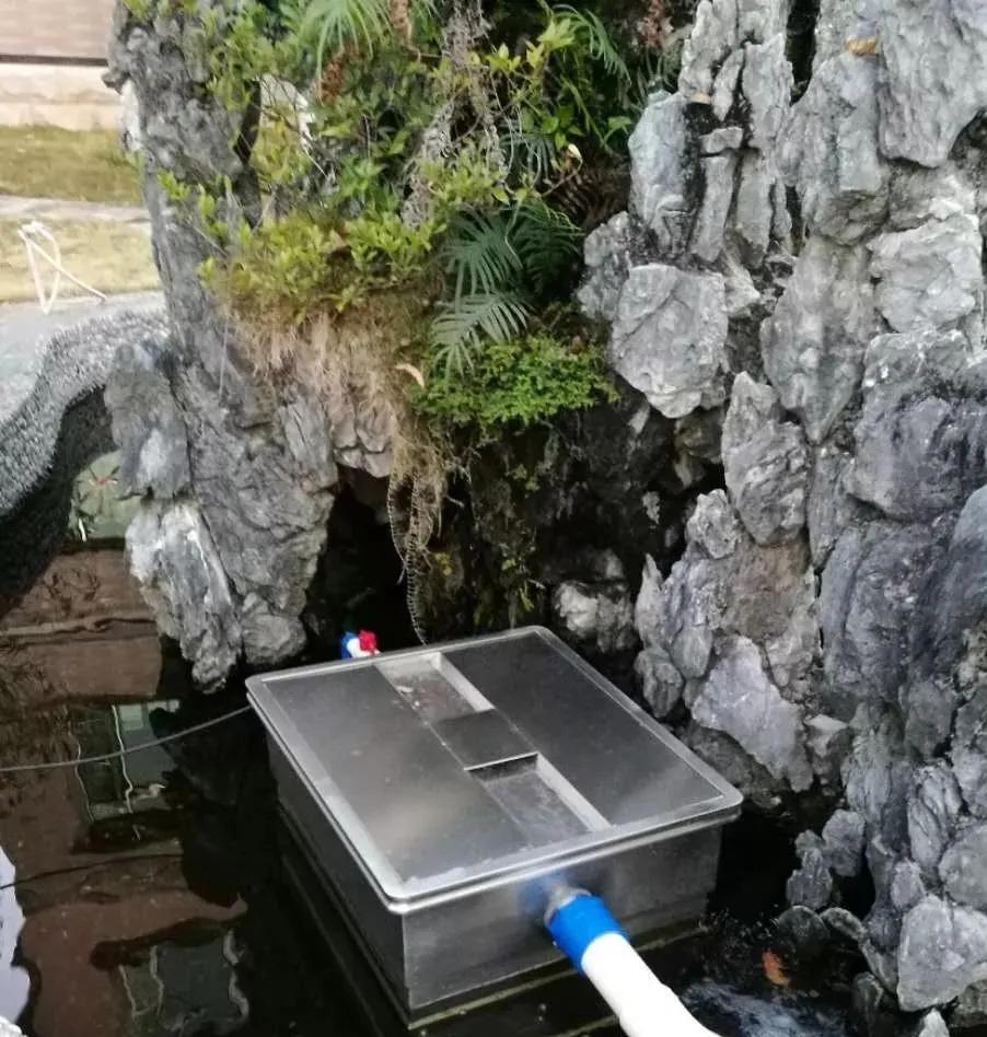 养锦鲤必备的一款鱼池过滤器,锦鲤鱼池过滤器自制方法
