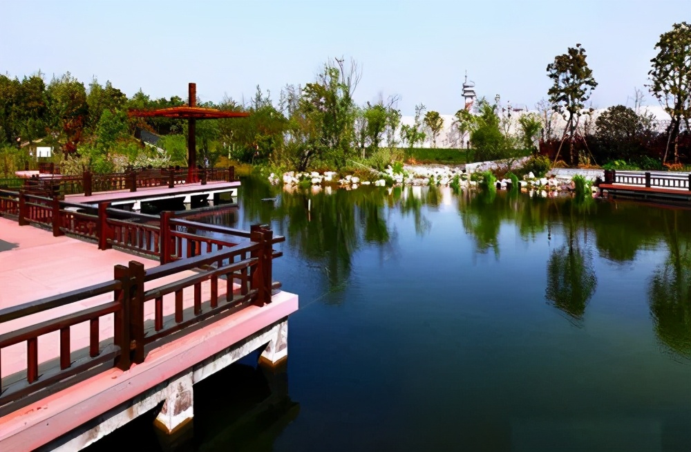 崇明岛西沙湿地公园视频,崇明西沙湿地公园芦苇荡