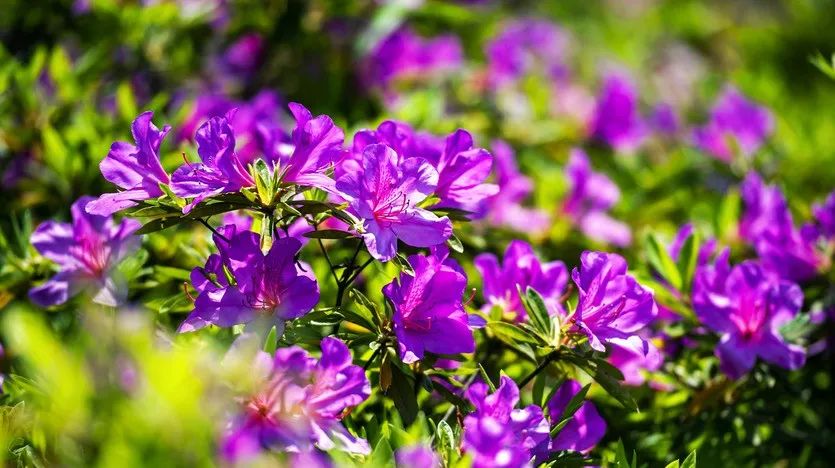 达州一座有温度的城市,达州一个有温度的城市