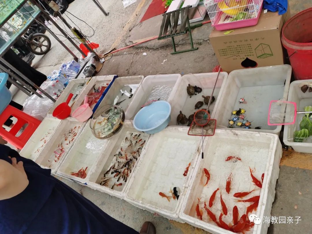 咸水沽大集现在还能赶集吗,咸水沽赶大集在哪里