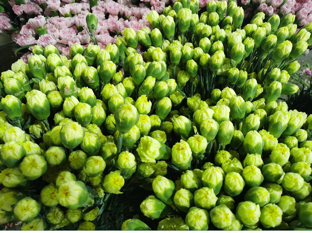 云南斗南花市旅游攻略,昆明地铁五号线到斗南花市