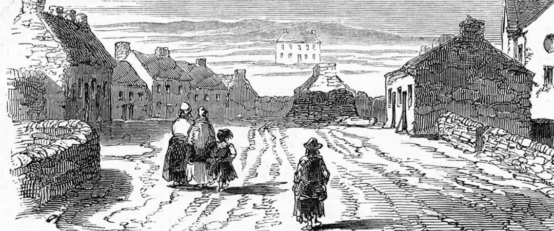 爱尔兰饥荒死亡原因,爱尔兰饥荒死亡多少