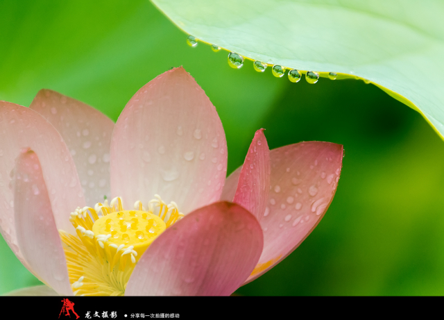 灏煎悍澶氶噸鏇濆厜鏁欑▼,浣宠兘澶氶噸鏇濆厜鏁欑▼