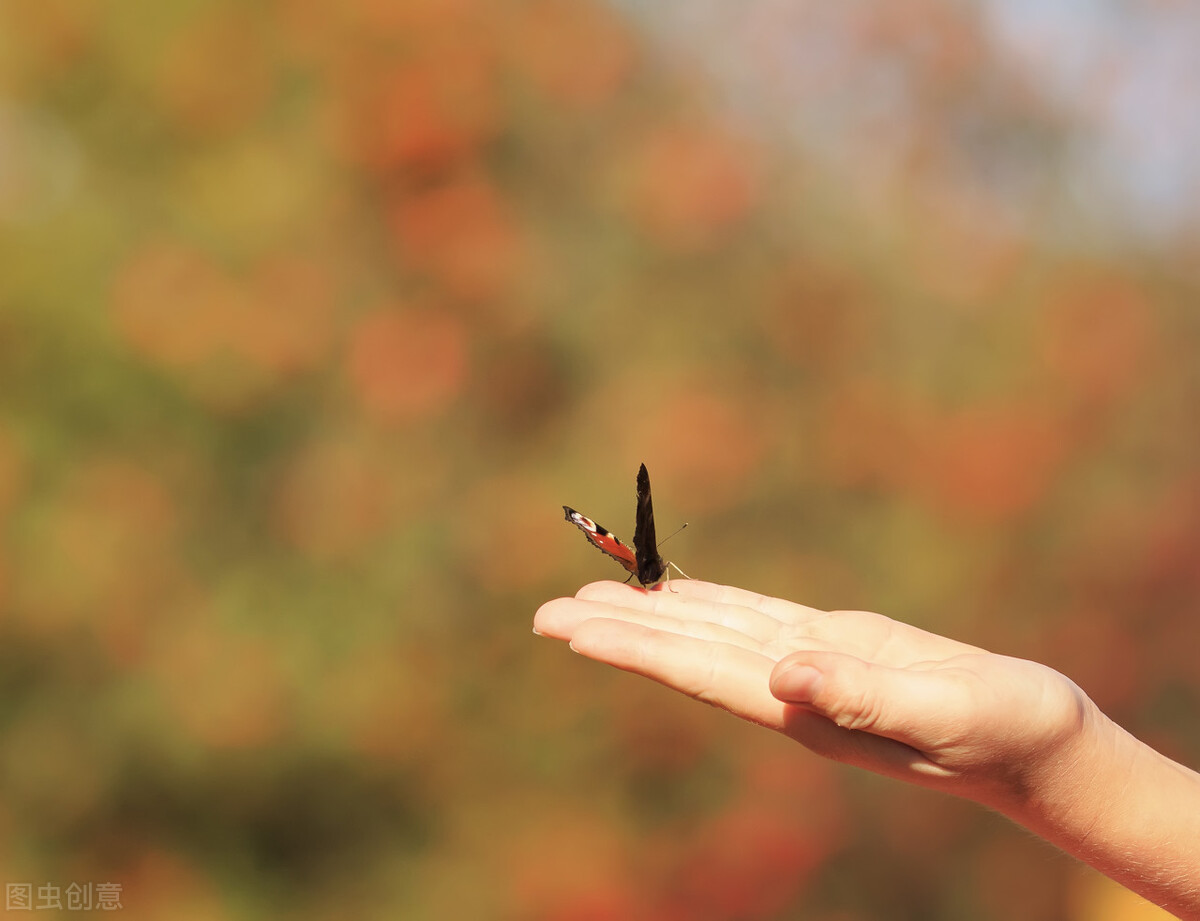 低谷期后重新振作的句子,低谷期如何振作重新找工作
